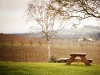 galeria_565060_60092180_1