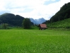 galeria_607588_72038728