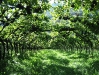 galeria_820758_11080842